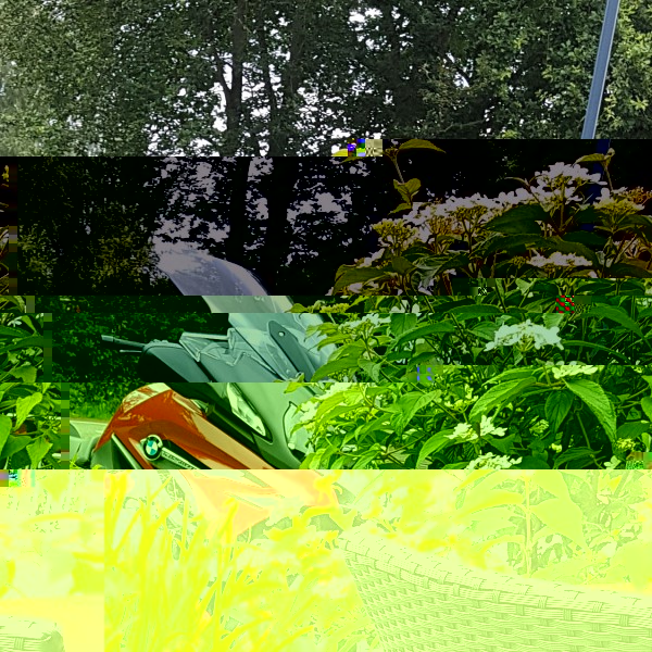 20200717_124515.jpg