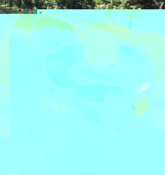 0CAC5091-89FB-4893-AFDA-42BF4449DD52.jpeg