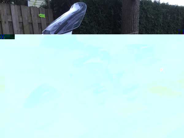 image.jpeg