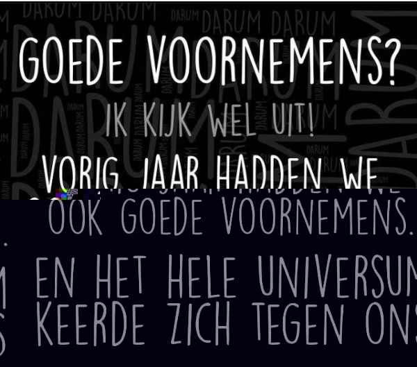 voornemens.jpeg