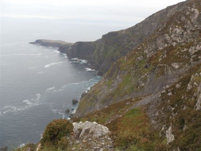 PA230368.JPG