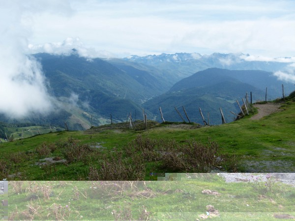 P1020037c.jpg