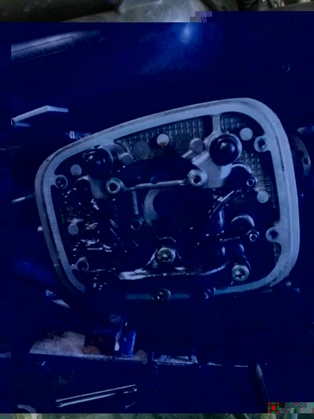 1380406_10201887054033411_136729256_n.jpg