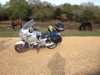 Tussen de paarden (pk's) in The New Forest