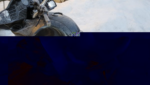 Frozen Whale