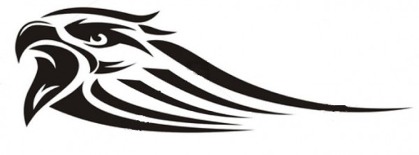BMW havic zwart.jpg